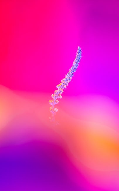 Modern Banking Interface